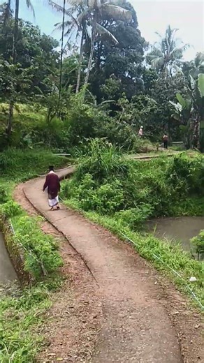 Suasana Desa Yang Sejuk #sawah #nature #pemandanganbagus #fypシ゚viral #shorts #youtube