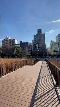 ➀2026年2月2日【速報】内閣府が2027年の「国民の祝日」を決定 GWは7連休も可能に？状況で久々・俺の郷上野公園散策〜メモリーズ