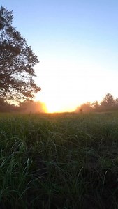 From our fields to your table 🫒✨ Fresh. Local. No shortcuts—ever. We grow. We harvest. We cold-press. All right here in Georgia. Taste the freshness. Feel the difference. #FreshPressFarms #FarmToTable #OliveOil #MadeInTheUSA #AllAmericanMade | Fresh Press Farms