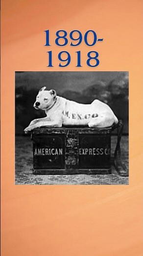 American Express Logos #logo