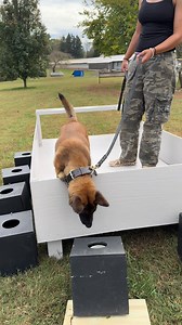 137K views · 1.5K reactions | Water work incoming  These girls are preparing to run HRD off the boat — always ready for the next challenge!#waterhrd #cadavar #sar #detection #boatlife | Tactical Police K9 Training | Facebook