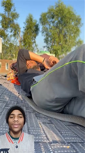 Top Learning Tools 🥰 for Tech Enthusiasts #shorts​​​​​​​​​​​ #shortsfeed​​​​​​​​​​​ #viralshorts​​​​