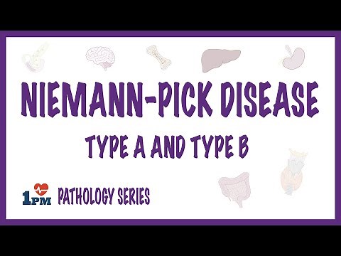 Niemann Pick Disease Type A and Type B - causes, symptoms, diagnosis, treatment, pathology