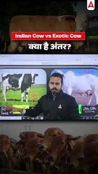 Indian Cow vs Exotic Cow क्या है अंतर? #cuetug2026 #cuetugpreparation #shortsviral #shorts