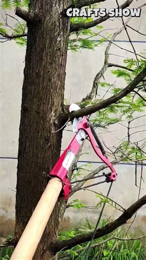 Trimming high branches safely using a pole pruner