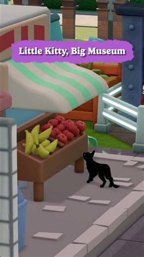 This curious kitty is on a whole new adventure... 🐈