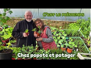 SEMIS et PLANTATIONS DE PRINTEMPS au POTAGER - Partie 2