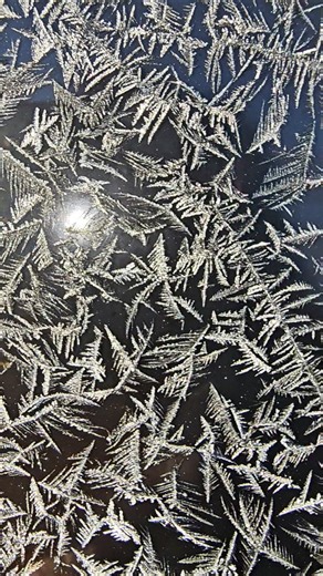 Old Jack Frost #shorts #jackfrost