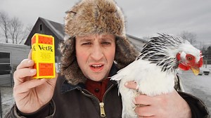 Can This Save Shakira the Chicken? Farm Experiments