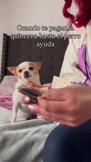 Videos de Roberto Vázquez (@robertorom2) con “sonido original - TODOPARATI 🇻🇪”