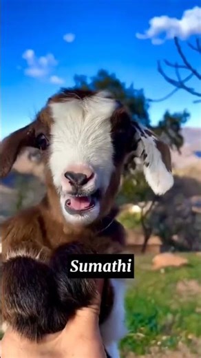 Just for fun friends 😂😂. Comment your best friend name😊#funny #youtubeshorts