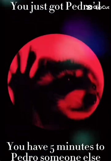 #funny #handgesture #roblox #cat #middlefinger #anime