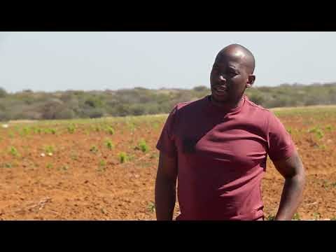 Farmers Voice Ep22 | Impact of Youth Influencers In Agriculture in Botswana