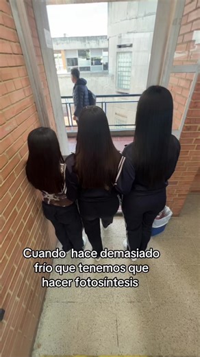 Fotosíntesis en Frío: El Reto Del Prom 2026