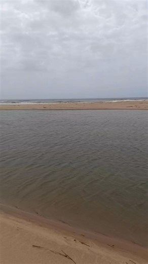 For those interested in the current state of the Lake St Lucia estuary mouth: The mouth has cut through the sandspit making a more direct mouth to the ocean. The old channel is cut off from the mouth and estuary on the low tide creating a calm lagoon. | St Lucia Birding Tours - Ian Ferreira