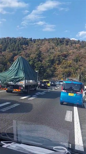 昔からいるよね追走されてる緊急車両がマイクで追走するなって注意してるのを見たこともあるドラレコとか何かしらで映像が残る今だから皆に周知できるようになったけどねホント危ないからやめて欲しい