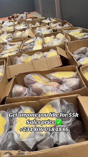 We are running a 10 days mega sales, come wnd purchase big body pvc man equin at the best price✅ WhatsApp to place your order. 234 806 058 1886 #pvcmannequin #factorymannequin #portharcourt #mannequinhead #wholesale