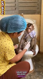 why poop | Fresh diy