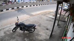 MAN ATTACKED BY MONKEYS