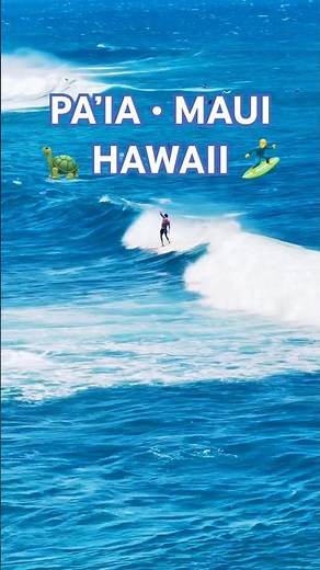 Hidden Hawaii: Surfing & Sea Turtles in Maui! 🌊🐢 #shorts