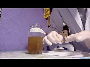 BONE DECALCIFICATION