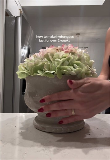 florist tips 🌷 #flowerarrangement #floristrytips #hydrangeas