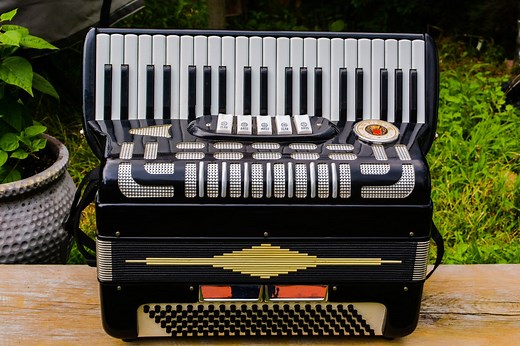 Is the Accordion Hard to Learn? An Expert Opinion - Folkstrings.com