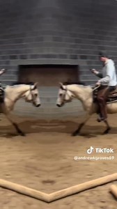 Gibbs 2024 AQHA Buckskin Colt By: Full Medal Jacket- AQHA Black Stallion Out of: TJ Pure Bliss (Just Expect It) Owned By: Buck & Brandi Pettit - Soquili Farm Under the Guidance of: @Groves Performance Horses | Full Medal Jacket- AQHA Black Stallion