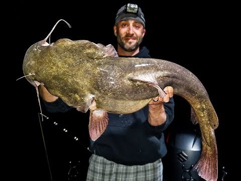 Fishing in the Dark - Mississippi River Catfishing