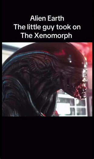 Alien Earth best fight #alienearth #alienearth #xenomorph #predators | alien earth