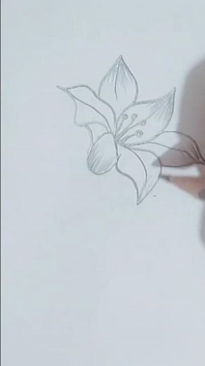 “Realistic Flower Pencil Drawing | Step-by-Step Easy Sketch Tutorial”
