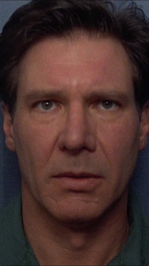 The Fugitive 1993 Movie: Harrison Ford Saves the Day in a Photo Booth