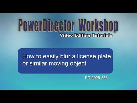 How to blur a license plate or similar moving object