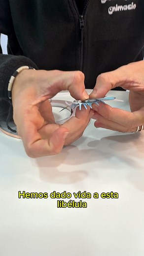 8.5K views · 63 reactions | 曆✨ ¡Dale vida a una libélula en nuestras...