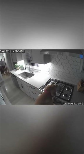 "Dog Jumps on Kitchen Counter at 2AM 😂🐕 CAUGHT ON CAMERA"