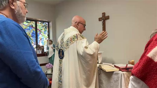 10K views · 661 reactions | St Martin de Tours; no adoration; homily on true humility. Fr Imbarrato | My Mother Mary | Facebook