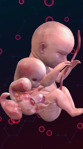 Las 4 etapas del desarrollo infantil. . . . . #desarrolloinfantil #educación #crecimiento #niños #psicología #bienestar #ciencia #etapasdelavida #familia #aprendizaje #saludcardiovascular #corazón #embarazo #sistemacardiovascular #biología #nutriciónfetal #salud #ciencia #bienestar #maternidad | Smart Doctor en Español