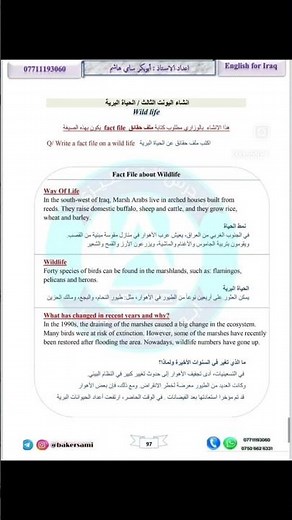 حلول واجوبة أسئلة اللغة الإنكليزية للثالث المتوسط 2026 الدور الأول: الأجوبة النموذجية الكاملة
