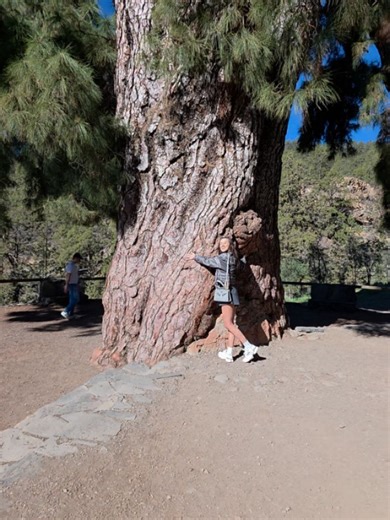 Ana Maria Barnoschi on Reels