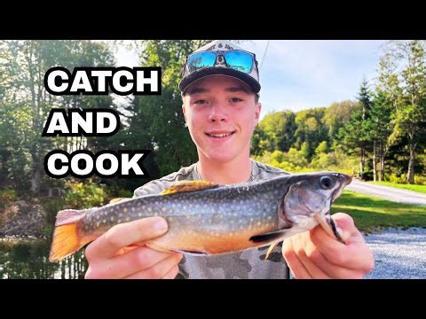 Catch and Cook Brook Trout!