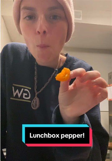 my mom grew this super cute lunchbox pepper, and it taste so good! #lunchboxpeppers #peppers #garden #growingfood #tastetest