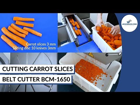 Machine Cutting Carrot Slices | Vegetable Slicer BCM-1650 | Slices, Julienne & Grate