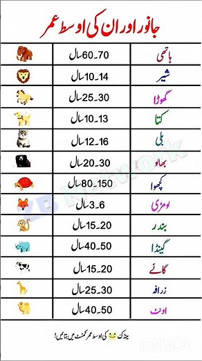 _Average Lifespan of Animals | How Long Do Elephants, Lions, Turtles & Pets Live?_