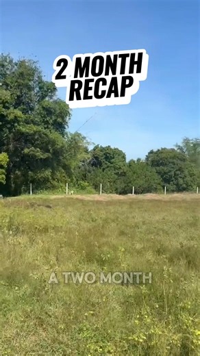 From Field to Foundations | 2 Month Philippines House Build Progress 🏠