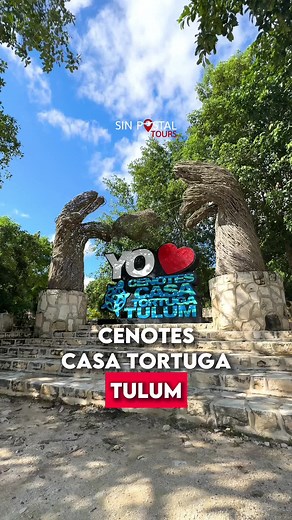 Descubre los mejores cenotes en Tulum