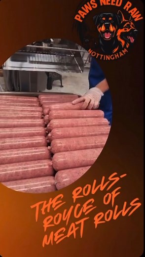 1.8K views · 11 reactions | Feeding dogs a raw diet isn’t just a trend — it’s going back to their roots 數✨ Raw meat provides natural nutrients, supports cleaner teeth, shinier coats, better digestion, and more energy. Because our furry friends deserve food as real as their love ❤️ #RawFedDog #NaturalNutrition #HappyHealthyDog #Nottingham | Paws need raw | Facebook