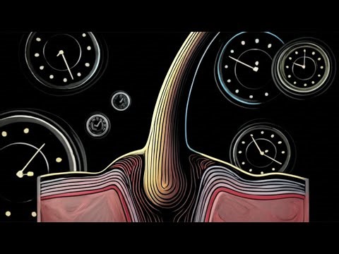 Why Your Hair Grows In Cycles