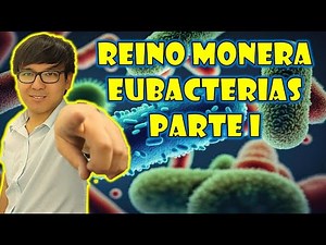 [ BIOLOGIA FREE ] - REINO MONERA - BACTERIAS I 👉😍🌿