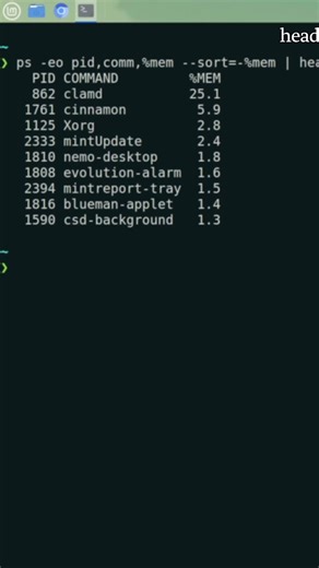 😱 الرام ديالك كيطير؟ شوف شكون كيسرقو دابا 💻🔥