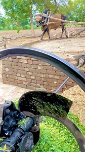 12M views · 10K reactions | Old Chaff Cutter Machine Operating With Bull  Power #worldmixchannel #foryourpage #trending #reels #foryou | World Mix Channel | Facebook